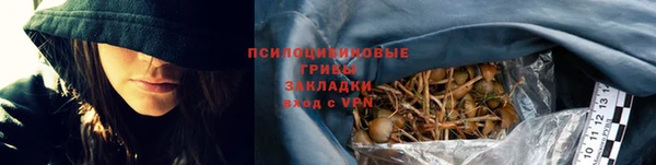 ешки Абаза