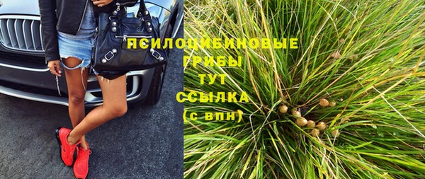 ПСИЛОЦИБИНОВЫЕ ГРИБЫ Абдулино