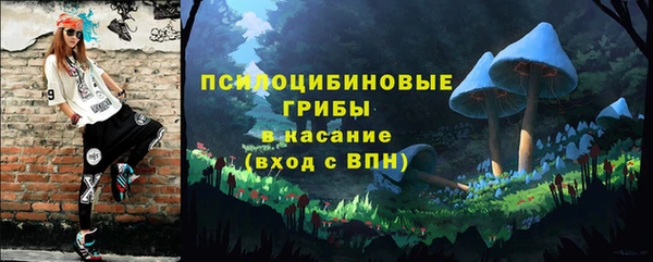 ПСИЛОЦИБИНОВЫЕ ГРИБЫ Абдулино