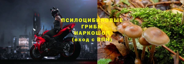 СК Абинск