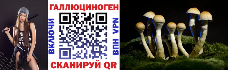 hydra зеркало  Судогда  Галлюциногенные грибы Cubensis 